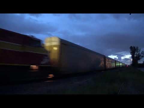 TWO freight trains in FIVE minutes! FEC 210-24 and FEC 121-23 - 8/24/19 - FEC MP 303