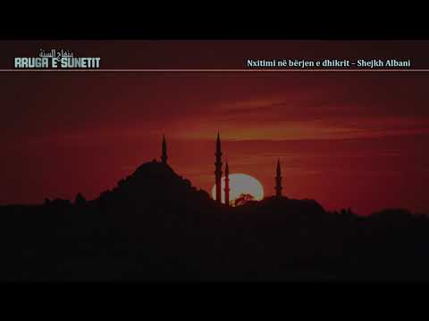 Nxitimi në bërjen e dhikrit – Shejkh Albani