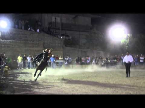 Francesco Di Martino  a  Capizzi