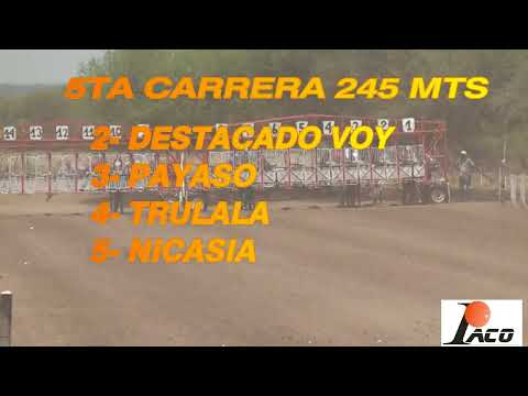 PAYASO HIPODROMO PANGARE CRUZ DEL EJE 06 11 2022