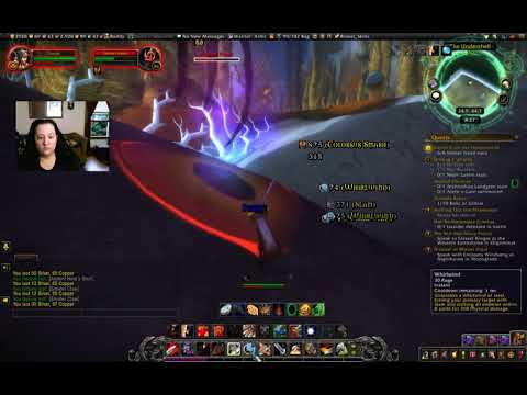 The Undershell Blood Elf Warrior