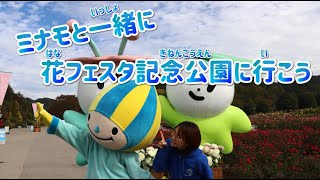 花フェスタ記念公園に行ってみよう♪