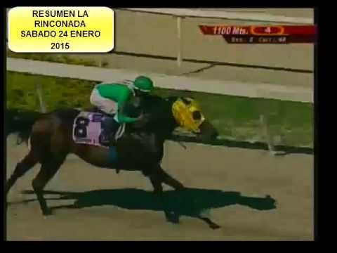 RESUMEN LA RINCONADA SABADO 24 ENERO 2015