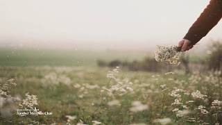 민채 (Min Chae) – Another Me