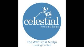 THE WAZ EXP, MR. KJU - Loosing Control (Original Mix)
