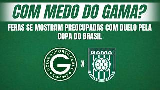 Qual o tamanho do favoritismo do Goiás diante do Gama?
