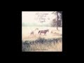 Bill Callahan - Too Many Birds