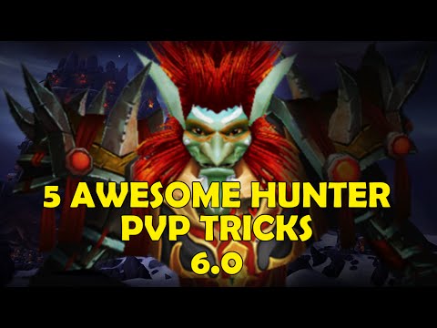 Zumio - 5 Essential Hunter PvP Tricks and Tips 6.0