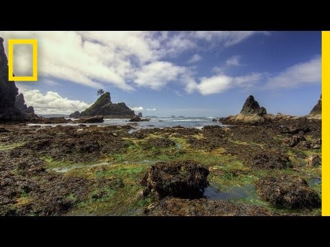 Olympic National Park | America’s Nation
