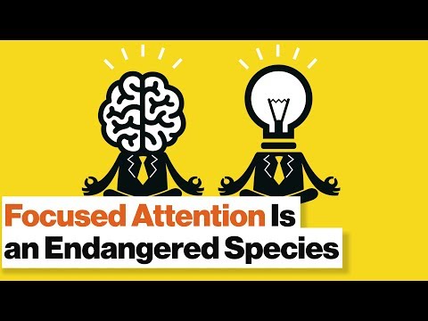 Train Your Brain: Mindfulness Meditation for Anxiety, Depression, ADD and PTSD | Daniel Goleman