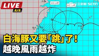 白海豚又要「跳」了！越晚風雨越炸