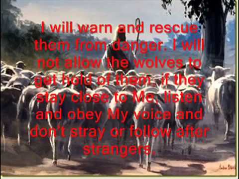 download lagu mp3 mp4 Sheep Of God, download lagu Sheep Of God gratis, unduh video klip Sheep Of God