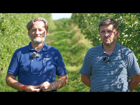 Ekologiczny sad w Lipowej – największe wyzwania w sezonie 2023 i ochrona przed zbiorami