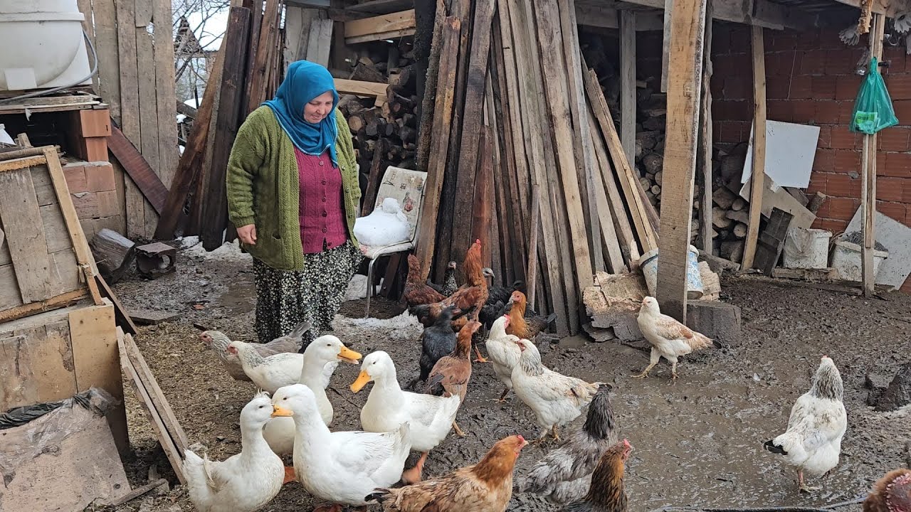 ‼️YÜKSEKLERDE KÖY HAYATI BELGESEL TADINDA ‼️