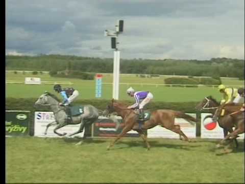 KO, 12. 8. 2017, 4. dostih - CENA FIRMY JAROSLAVA JIRÁNĚ