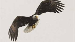 *Rare* Revolution - Tool