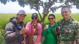 Download lagu SAWAH SUSY ARZETTY DITILIKI BPK DANDIM&BPK DANRAMIL INDRAMAYU mp3 Download lagu SAWAH SUSY ARZETTY DITILIKI BPK DANDIM&BPK DANRAMIL INDRAMAYU mp3