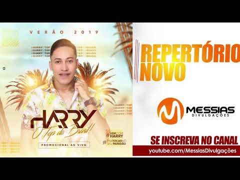 HARRY O TOP DA BREGADEIRA - CARNAVAL 2019
