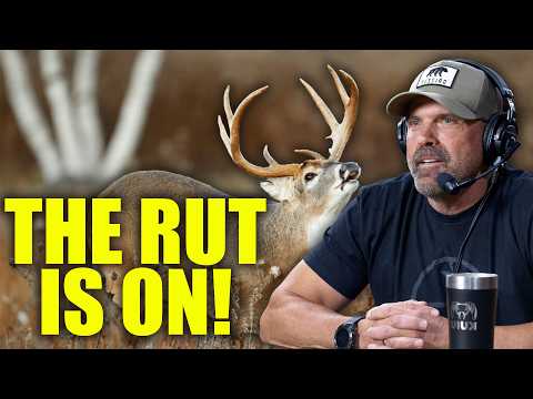 How To Kill A Buck In NOVEMBER; The RUT is ON!
