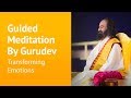 Transforming Emotions Guided Meditation By Gurudev Sri Sri Ravi Shankar