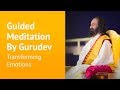 Guided Meditation by Sri Sri Ravi Shankar ...
