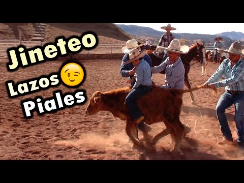 Bull Riding and Country Activities - Rivera Rodriguez Family