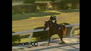 20031210　名古屋競馬のアラブ最後の大物　キジョージャンボ