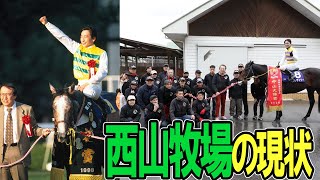 未来に繋いぐ西山牧場【セイウンやニシノの名門】について解説