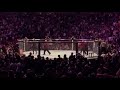 UFC 229 Khabib McGregor Massiv Brawl