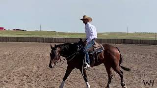 A Day in the Life of Matt Koch