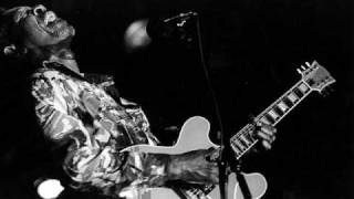 Luther Allison - Messin&#39; with the Kid (Live)