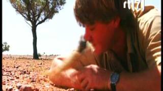 rtl7 UGLY trailer by Sass Jordan