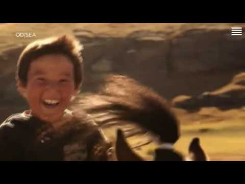 Equus: El Poder de los Caballos | Documental (Castellano)