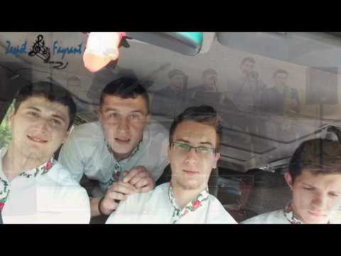 Zespół Fayrant - Noce z Tobą