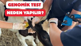 Genomik Test Neden Ve Nasıl Yapılır?
