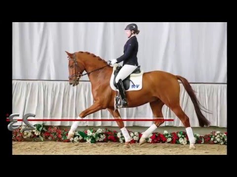 32 Viscount  Wallach v. Vitalis - Piano II