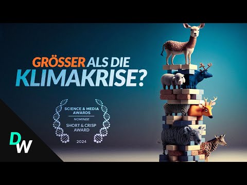 Die Krise, über die (fast) keiner spricht