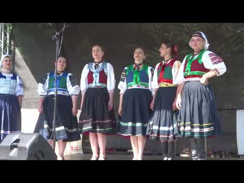 FS ŠARVANCI z Prahy - FF Polabská vonička 2023, č.11/18