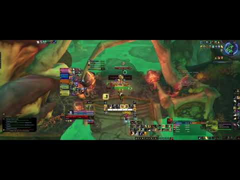 [WoW] Plaguefall +20 | Protection Paladin  PoV