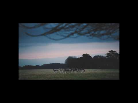 All the Luck in the World - Settle