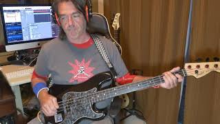 Bass Cover - Bee Sting - The Wombats