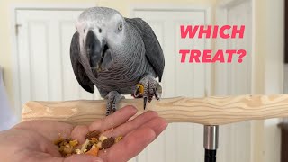 What Parrot Treat Works Best for Parrot Training? Which bird treat to use?