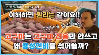 인산비료 잘 쓰는 농가는 이렇게 씁니다. 어떤 작물도 원리는 똑같아요! 고구마 키울때 용성인비를 섞는 이유 …