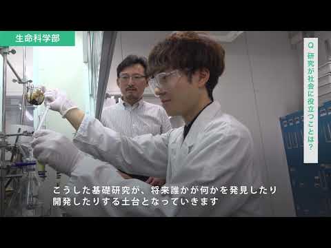 生命科学部 研究室紹介
