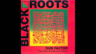 Black Roots Murder Dem (Mad Professor)