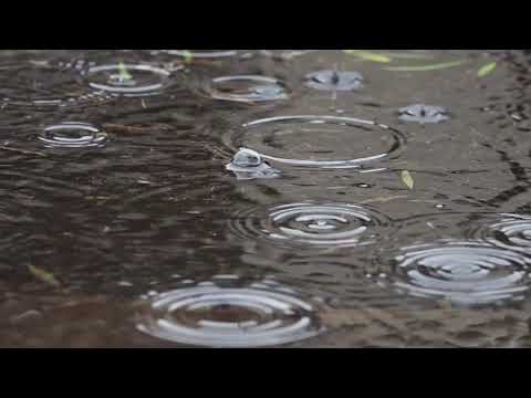 Soft Rain Sound effect