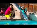 Wendy Pretend Play with Giant Water Slide & Inflatable Swimming Pool Kid Toys for Girls