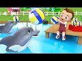 Little Baby Play Dolphins Balls At Pool Learn Numbers For Children Kids Educational Videos