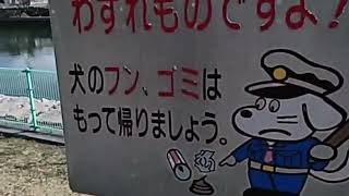 ひきこもりの散歩　そして伝説へ(´・ω・)　TS切り抜き