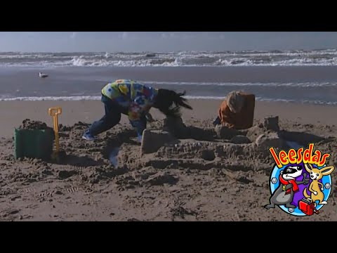 Het Zandkasteel 🏰  | Filmpjes uit gompie | Leesdas